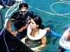 seawalker9
