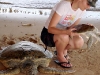 turtle-island-5